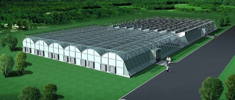 改性尼龍新聞速遞: 關于改性塑料在農(nóng)業(yè)中的發(fā)展趨勢